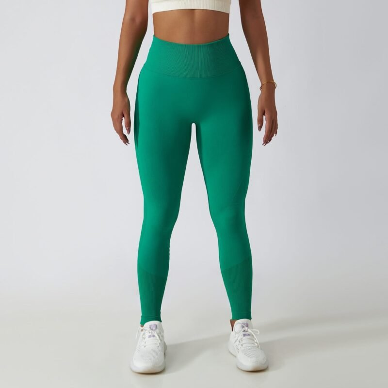 Women's Seamless High - Waist Tight - Fit Yoga Pants (6415)