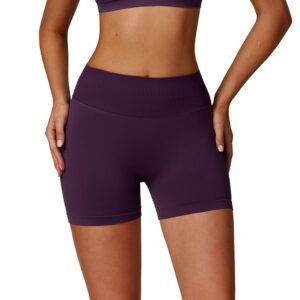 Women's Seamless Nylon Spandex Fitness Shorts - High-Waist Quick-Dry Design for Yoga & Running 7655