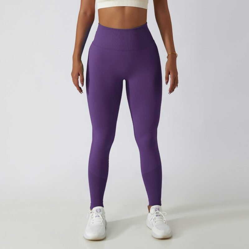 Women's Seamless High - Waist Tight - Fit Yoga Pants (6415)