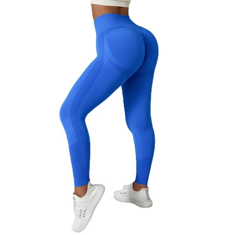 Women's Seamless High - Waist Tight - Fit Yoga Pants (6415)