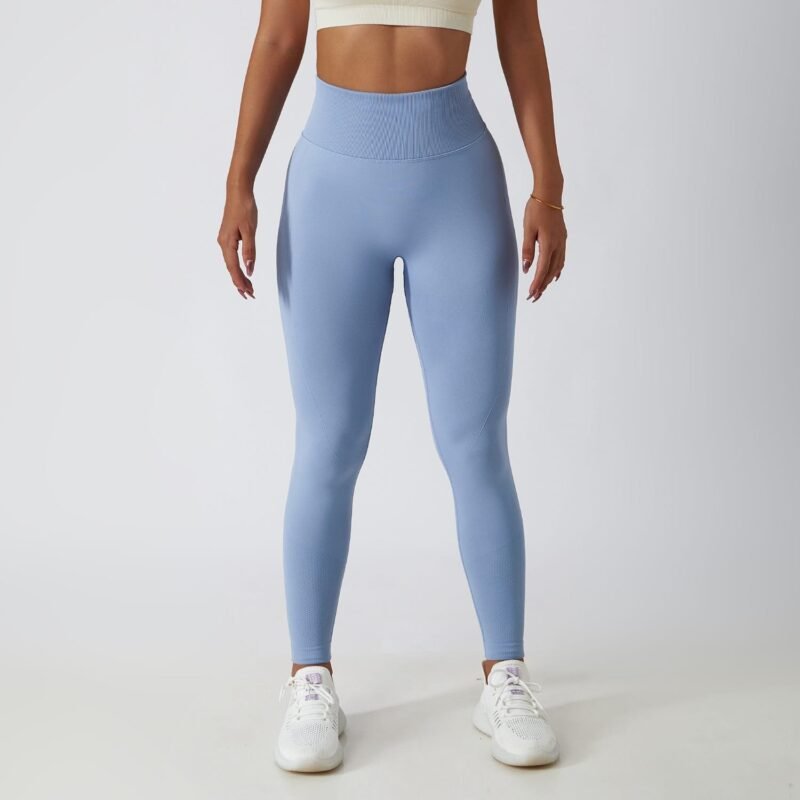 Women's Seamless High - Waist Tight - Fit Yoga Pants (6415)