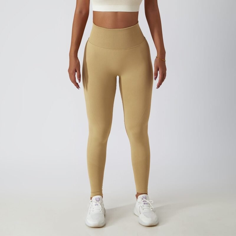 Women's Seamless High - Waist Tight - Fit Yoga Pants (6415)