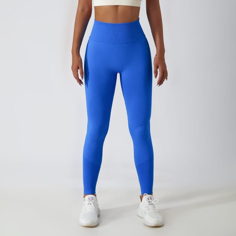 Women's Seamless High - Waist Tight - Fit Yoga Pants (6415)