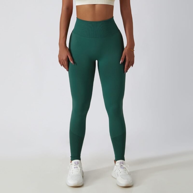 Women's Seamless High - Waist Tight - Fit Yoga Pants (6415)